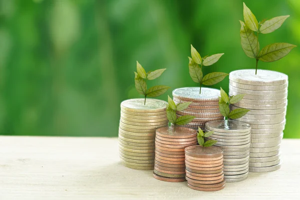 Personal Savings and Investments