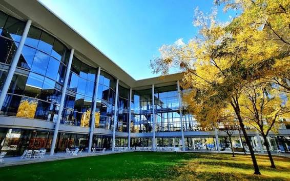 Yale SOM MBA Essays